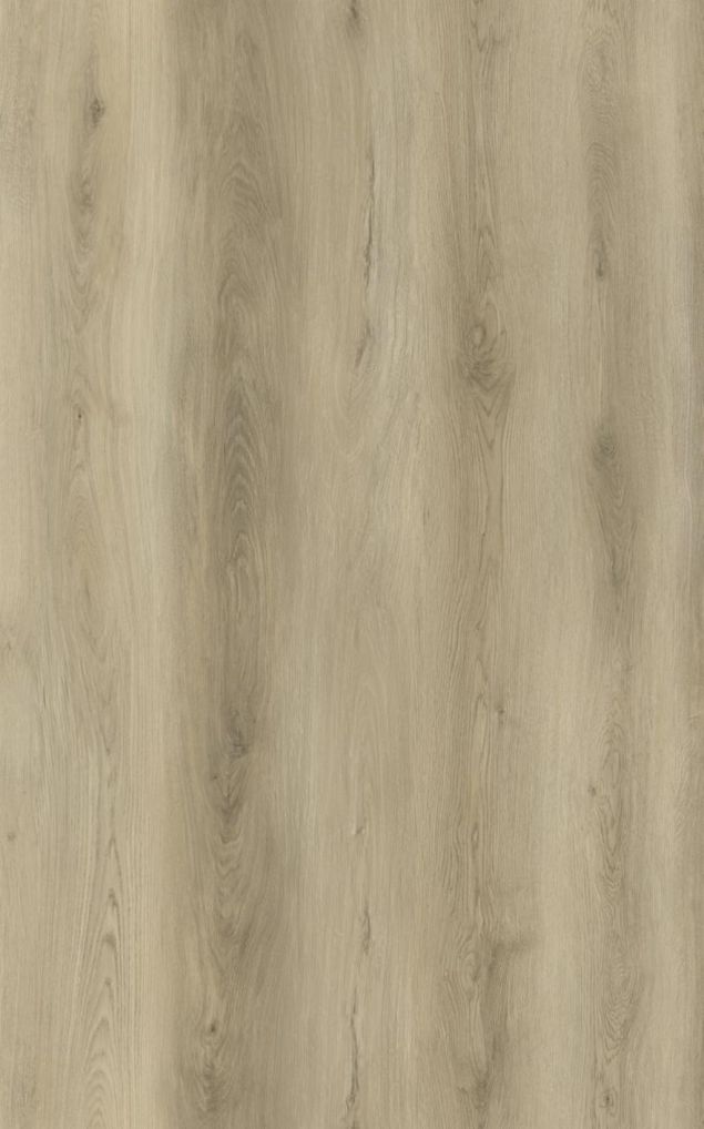 Bermuda Planks Sargasso